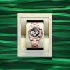 Rolex Cosmograph Daytona 40mm, 18k Everose Gold, Ref# 126505-0002