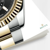 Rolex Sky-Dweller 42mm, Oystersteel and 18k Yellow Gold, Ref# 326933-0002